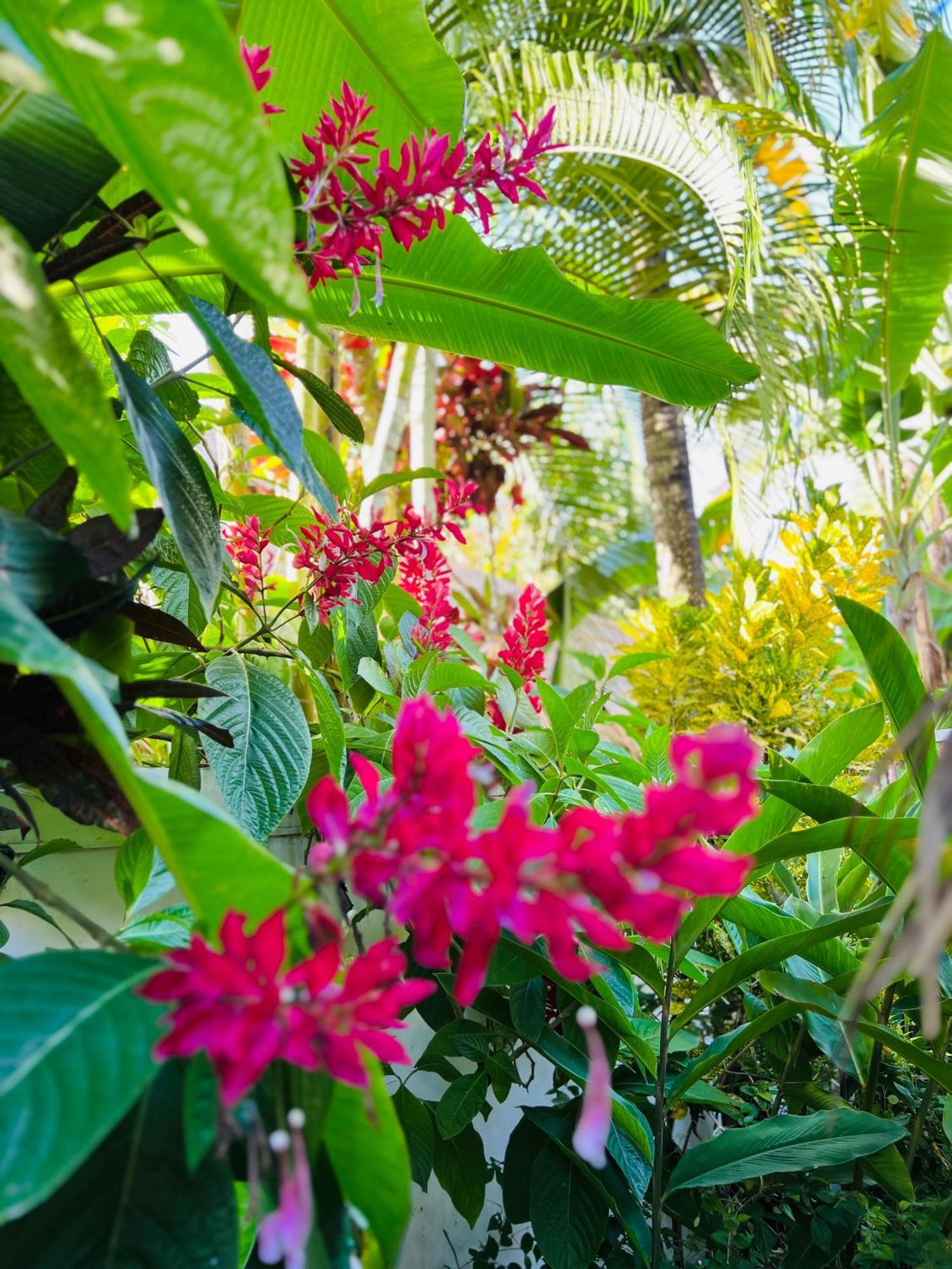 Villa Clarissa No. 8 拉斯特拉纳斯 外观 照片